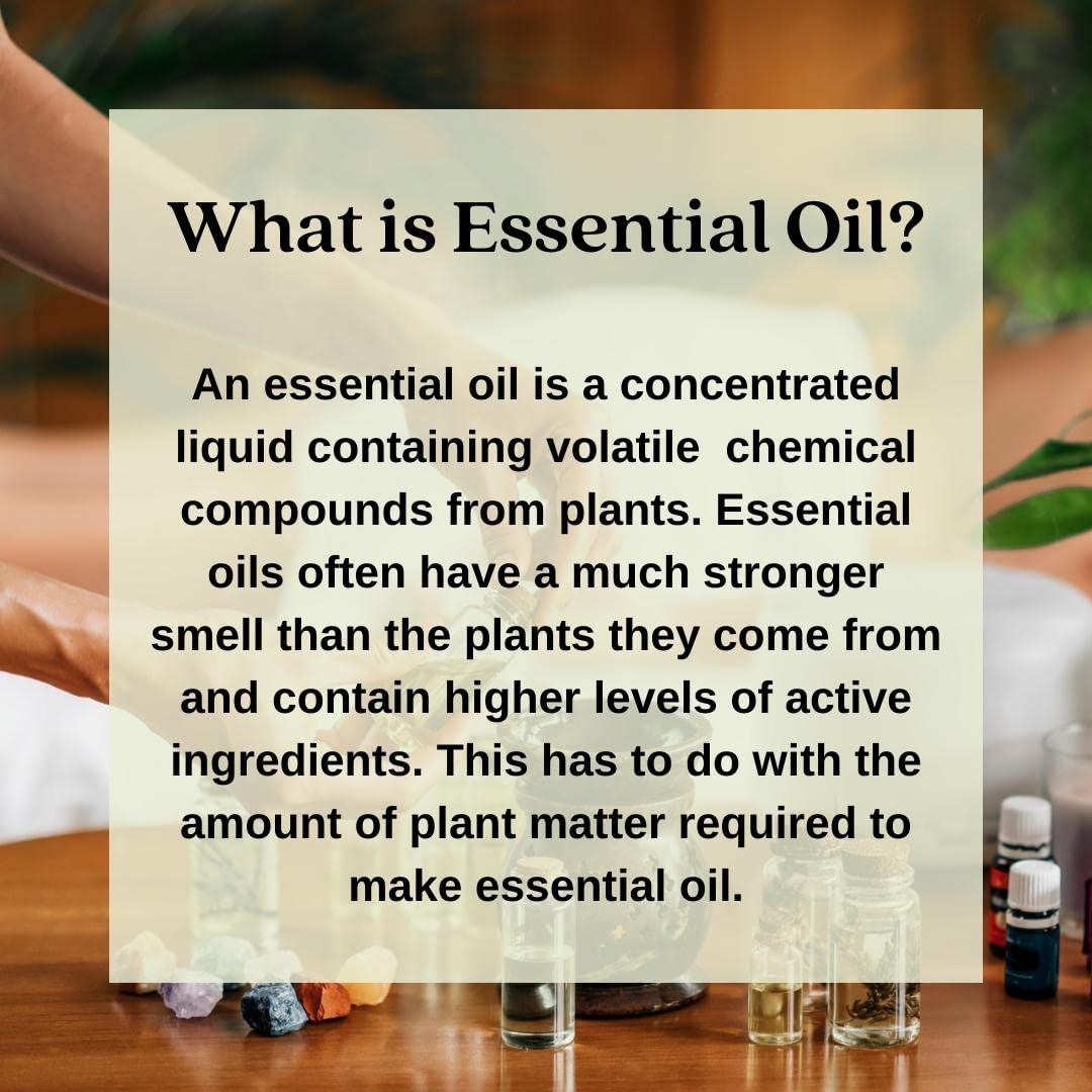 Pure Marjoram Essential Oil (Origanum majorana) 5ml - 100% Natural, Steam Distilled for Aromatherapy, Massage & Relaxation - Perfect for Diffusers, DIY Skincare & Stress Relief