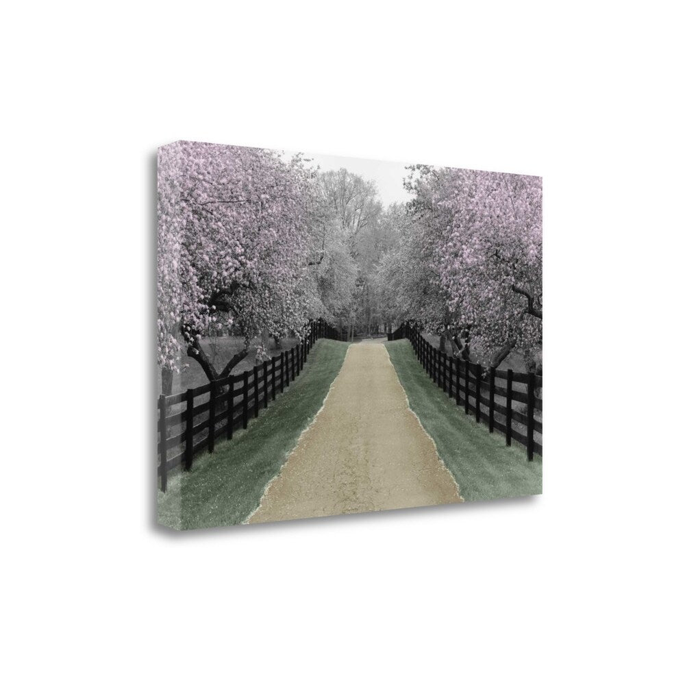 Apple Blossom Lane By Monte Nagler - Premium Fine Art Giclee Print on Gallery Wrapped Canvas - Ready to Hang Wall Decor for Living Room, Bedroom & Office