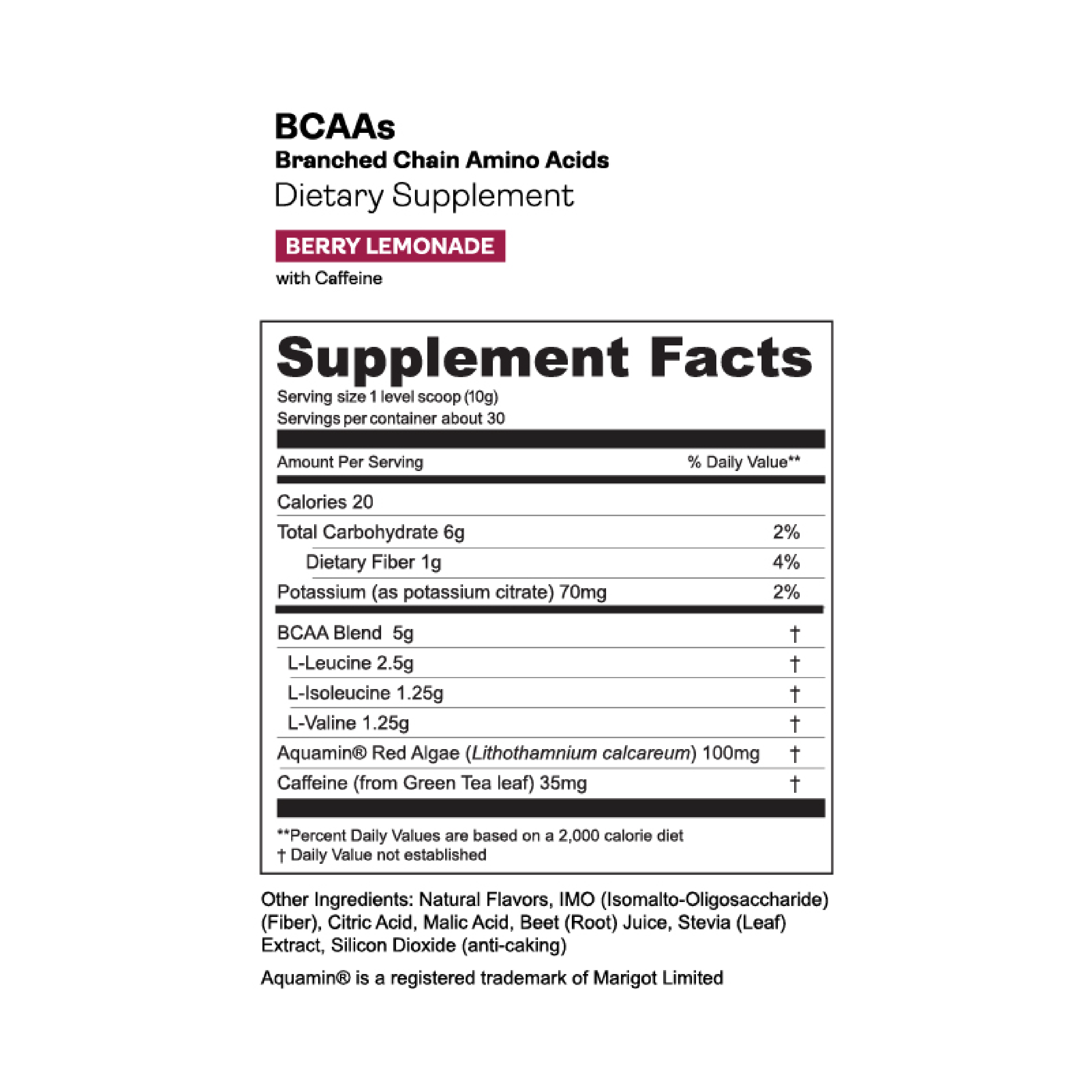Best Vegan BCAA Powder for Muscle Recovery & Endurance - Plant-Based Branched Chain Amino Acids Supplement for Athletes & Fitness Enthusiasts - Pre & Post Workout, Gym & Sports Nutrition