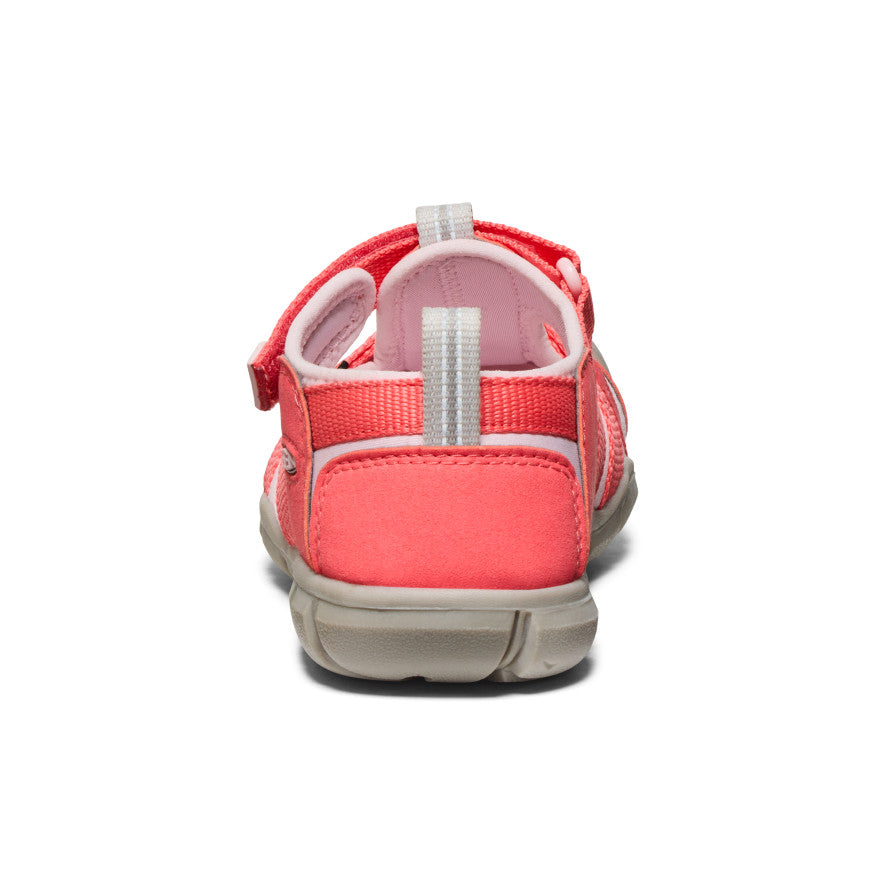 Big Kids' Seacamp II CNX Water Shoes | Dubarry/Giggle Pink | Perfect for Beach, Pool & Water Sports