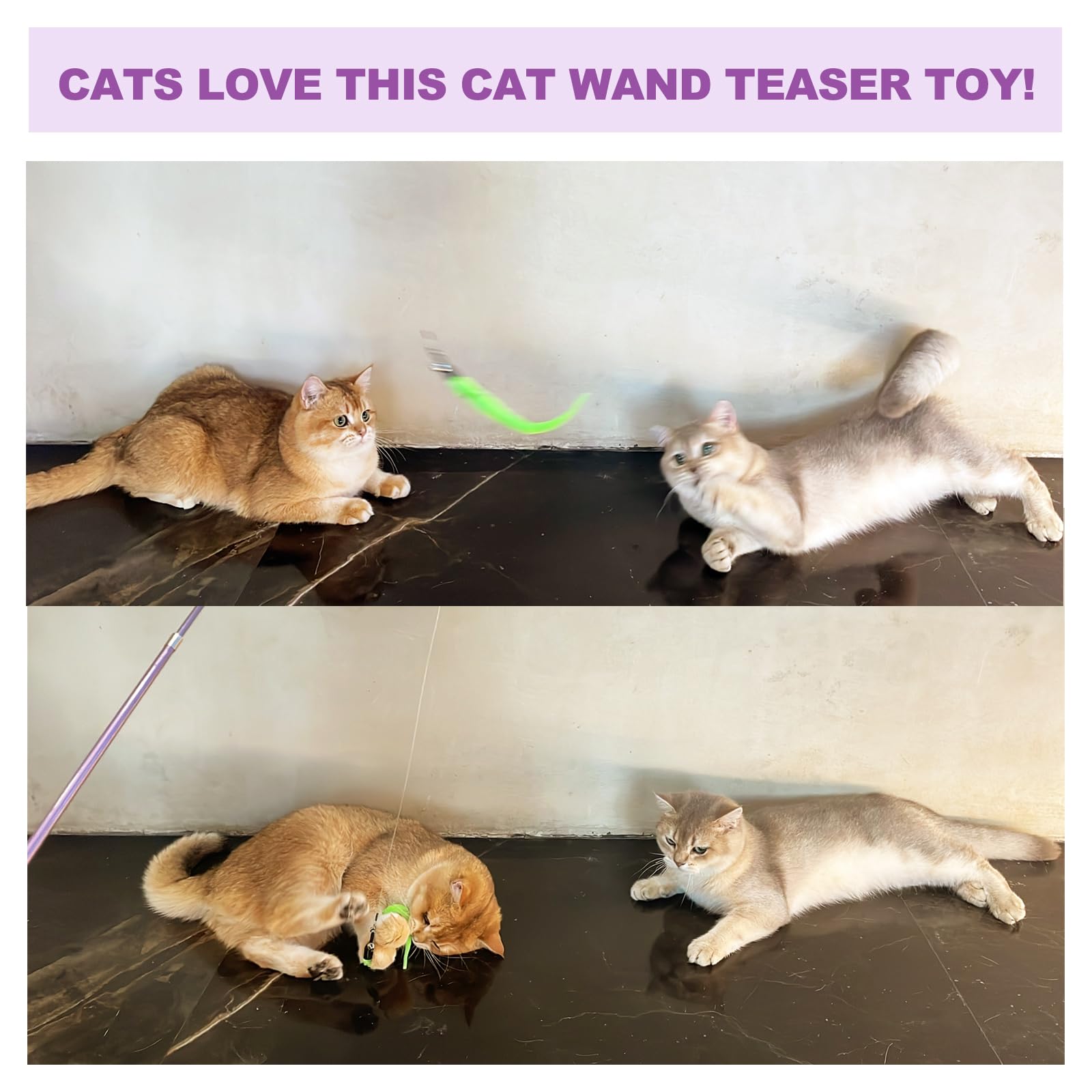 11PCS Interactive Cat Wand Toy Set - 2 Retractable Wands, 7 Worm Teasers & 1 Plush Fish Toy for Indoor Cats | Feather Toys for Play, Chase & Exercise | Perfect for Kittens & Adult Cats | Great for Bonding & Active Playtime
