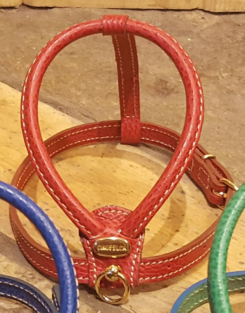 Classic Red with Brass