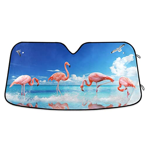 Summer Flamingos
