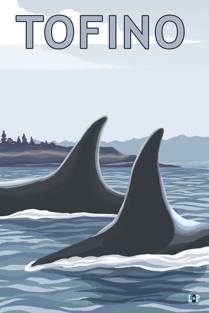 Lantern Press Tofino Canada Orca Fins Wall Art - 12x18 Wrapped Canvas Print for Home & Office Decor - Perfect for Living Room, Bedroom or Coastal Theme Interior Design