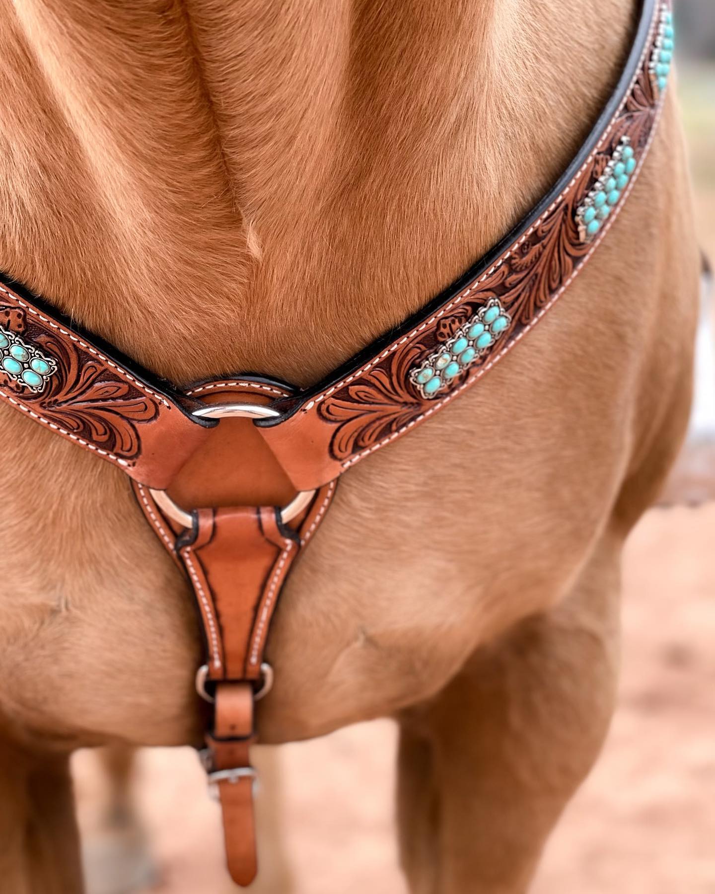 Light Oil Buckaroo Roper Turquoise One Ear & Breastcollar Tack Set for Western Horse Riding | OEBC446 | Perfect for Rodeo, Trail Riding & Show Events