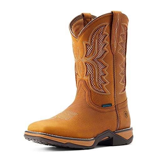 Toasted Wheat