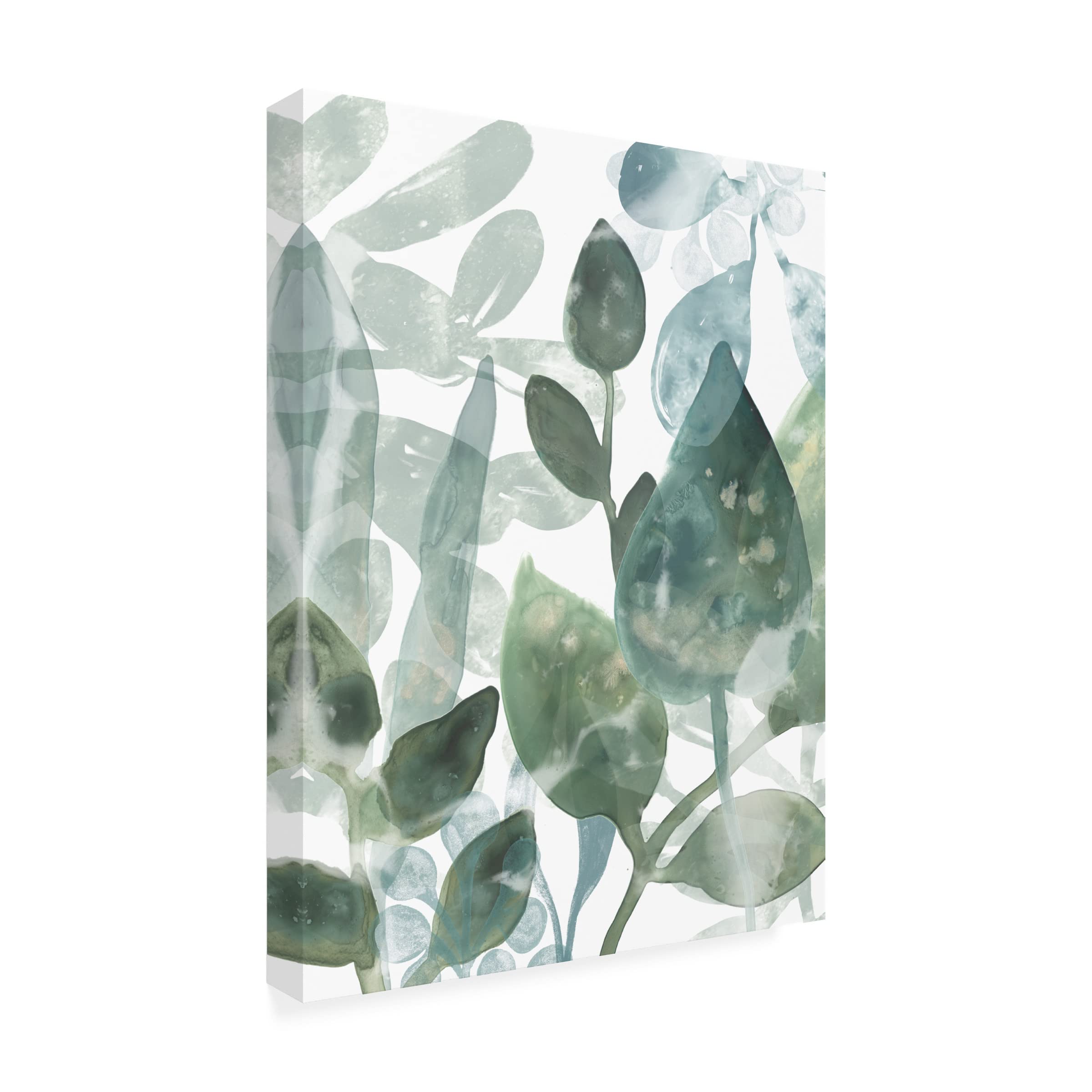 Trademark Fine Art 'Aquatic Leaves I' Canvas Wall Art Print by June Erica Vess - Modern Botanical Decor for Living Room, Bedroom & Office