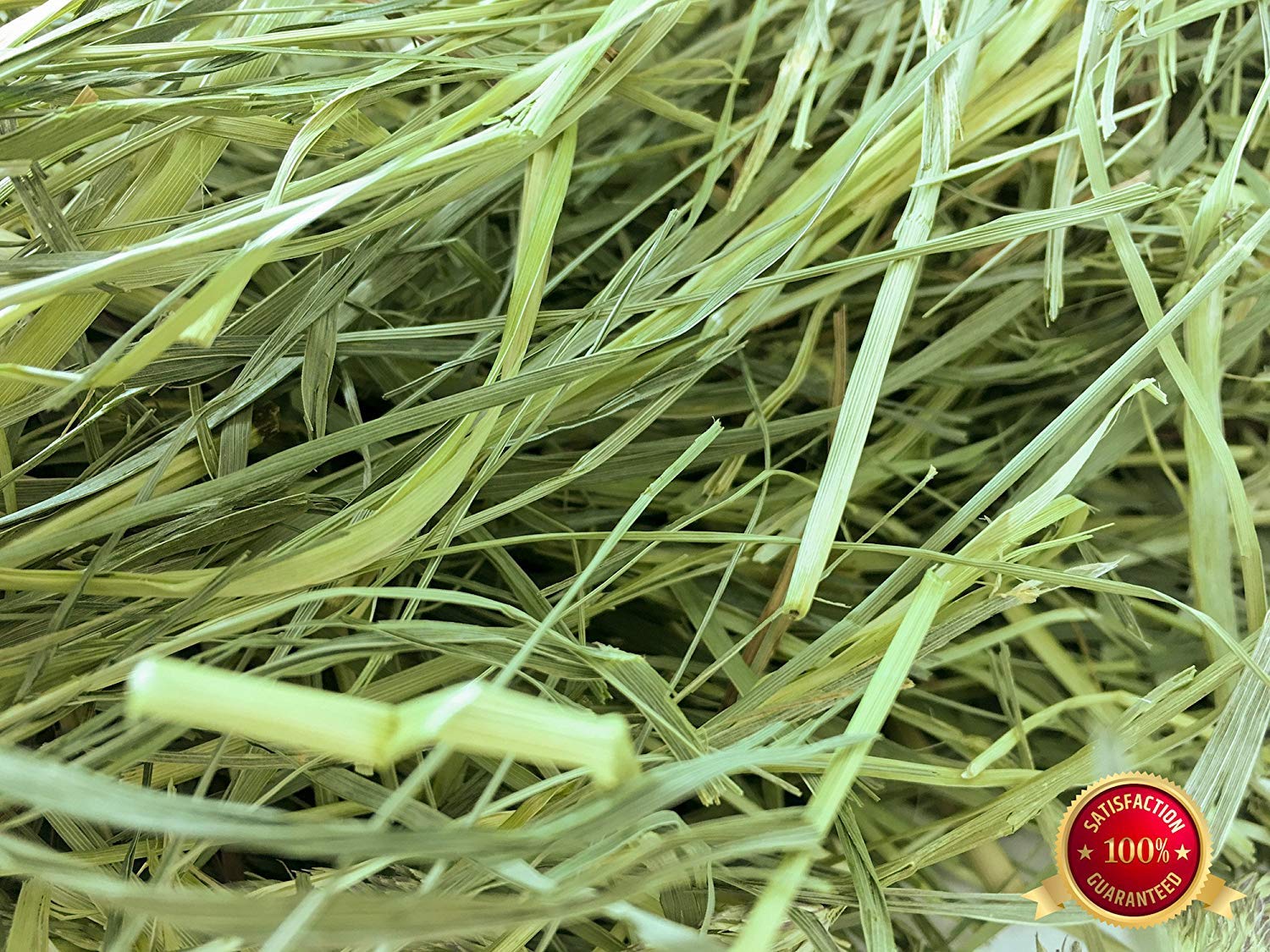 Premium Timothy Hay for Rabbits, Guinea Pigs & Small Pets - 40lb Farm Fresh, Hand-Selected Natural Fiber - Perfect for Daily Feeding, Nesting & Dental Health