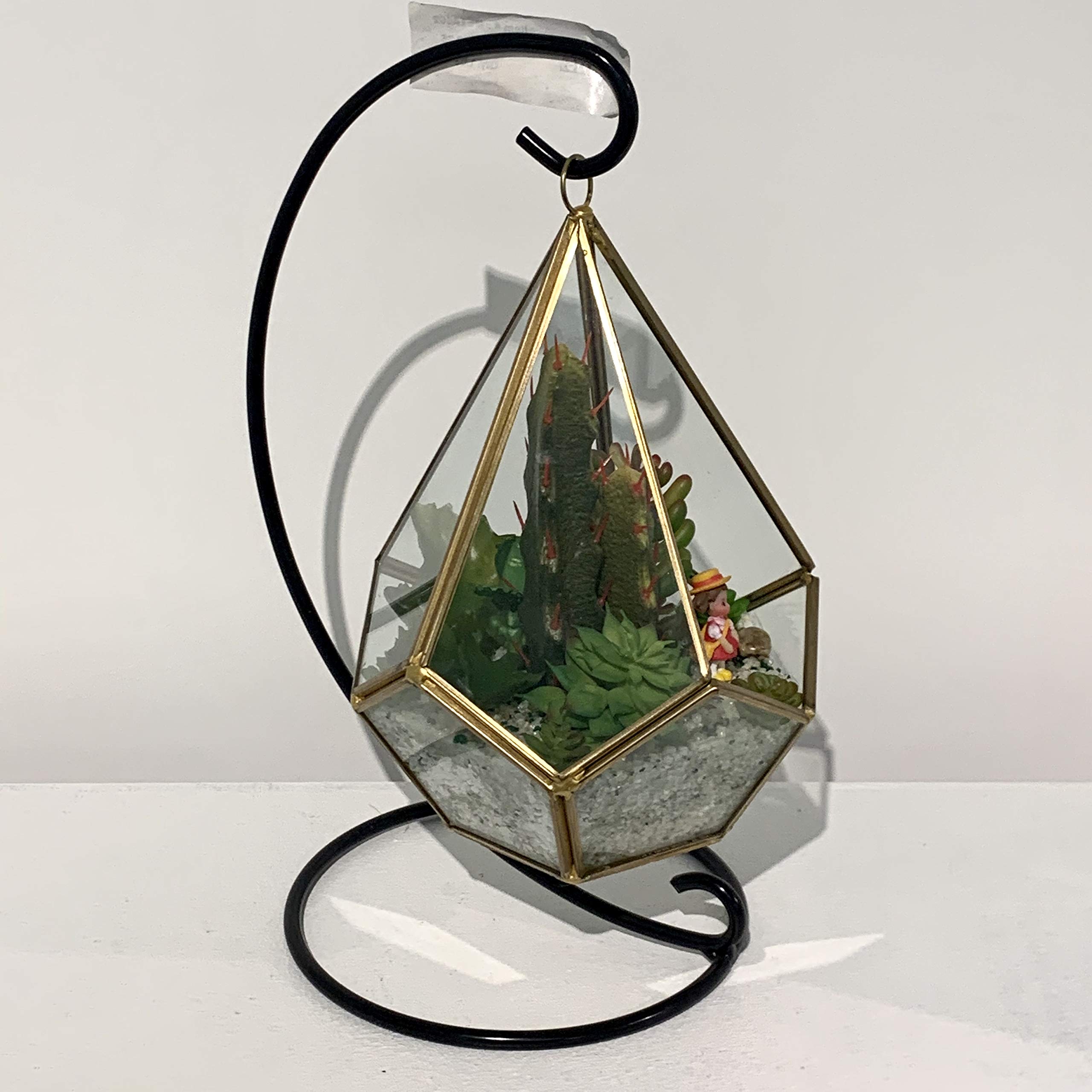 WGV Hanging Geometric Planter Terrarium - 5.5