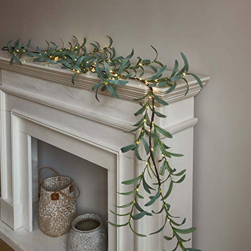 Olive 6ft