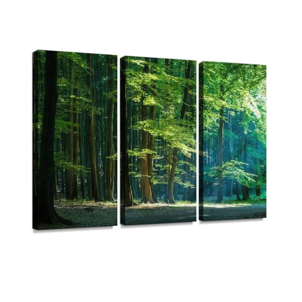 Blaverr Beech Forest Canvas Wall Art - 3 Panels for Living Room & Bedroom Decor