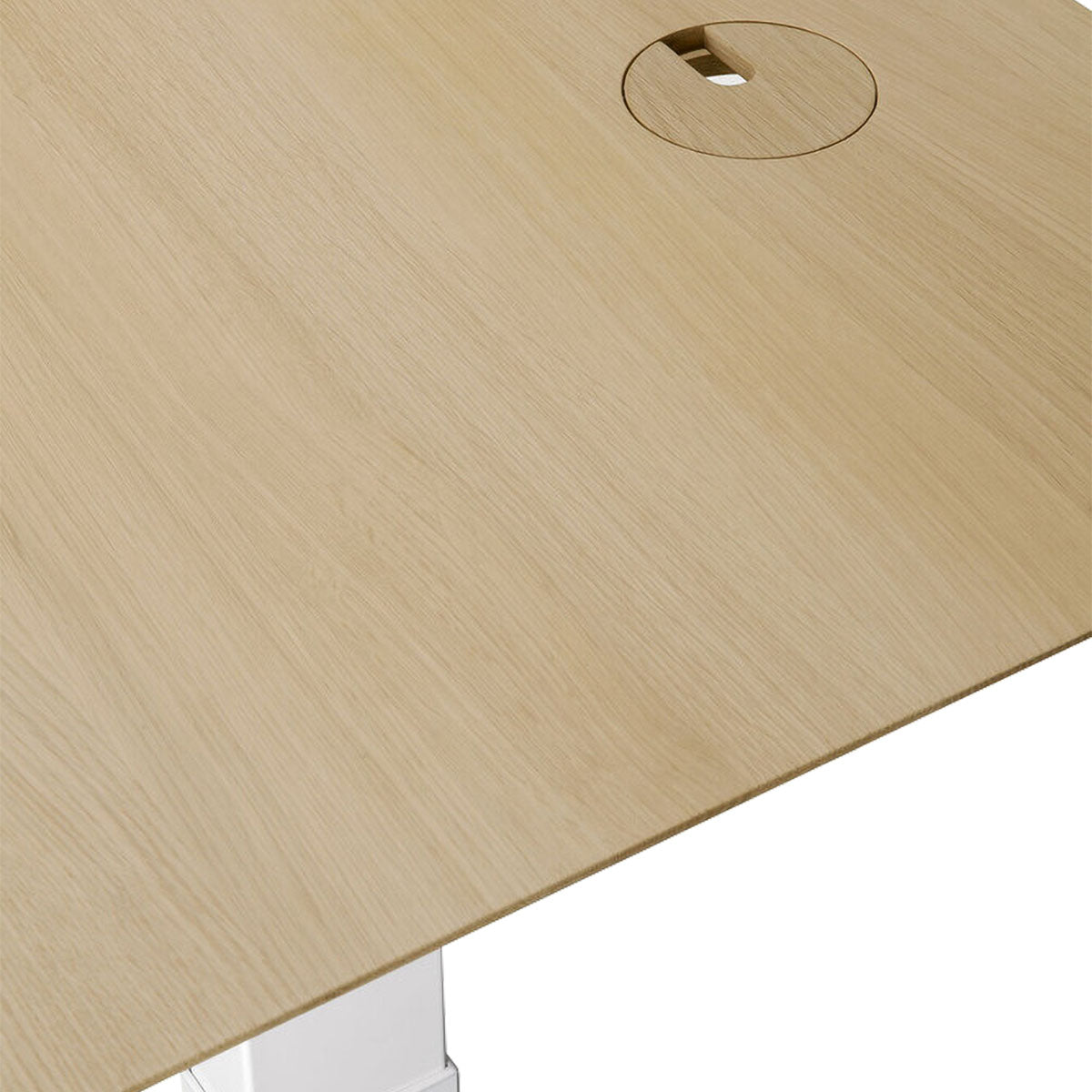 Adjustable Rectangle Office Desk with Cable Management - 160cm (Oak, White) | Ergonomic Home Office Furniture for Remote Work & Study