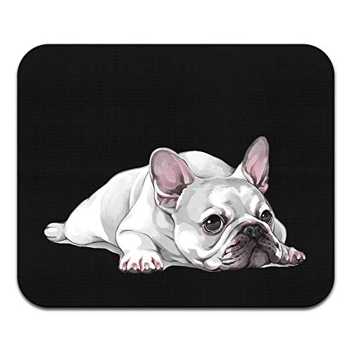 French Bulldog Dog Lying Down Looking Up