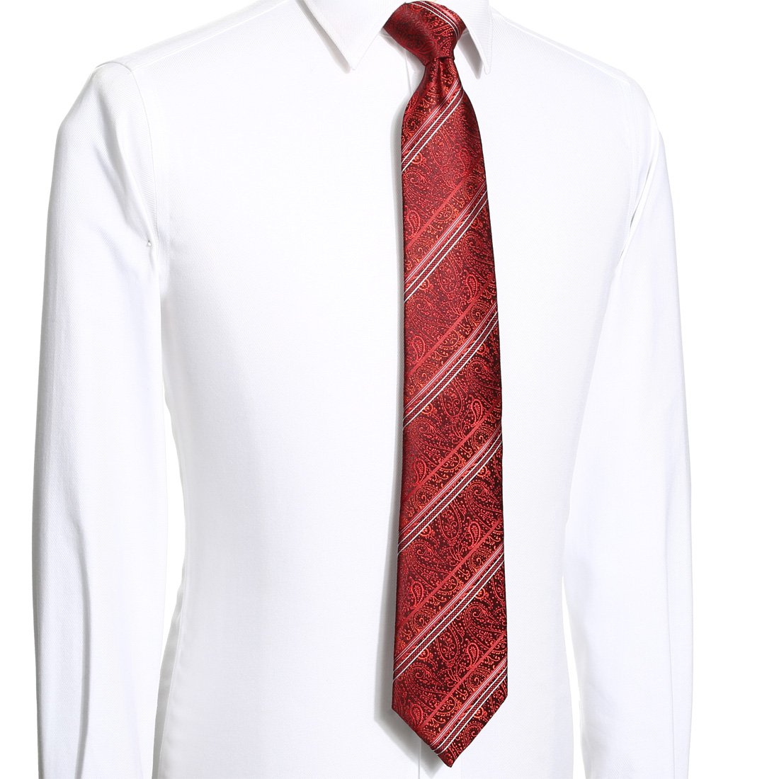 KissTies Men's Classic Paisley Necktie for Business & Formal Events - Premium Silk Tie with Gift Box - Perfect for Weddings, Interviews & Office Wear