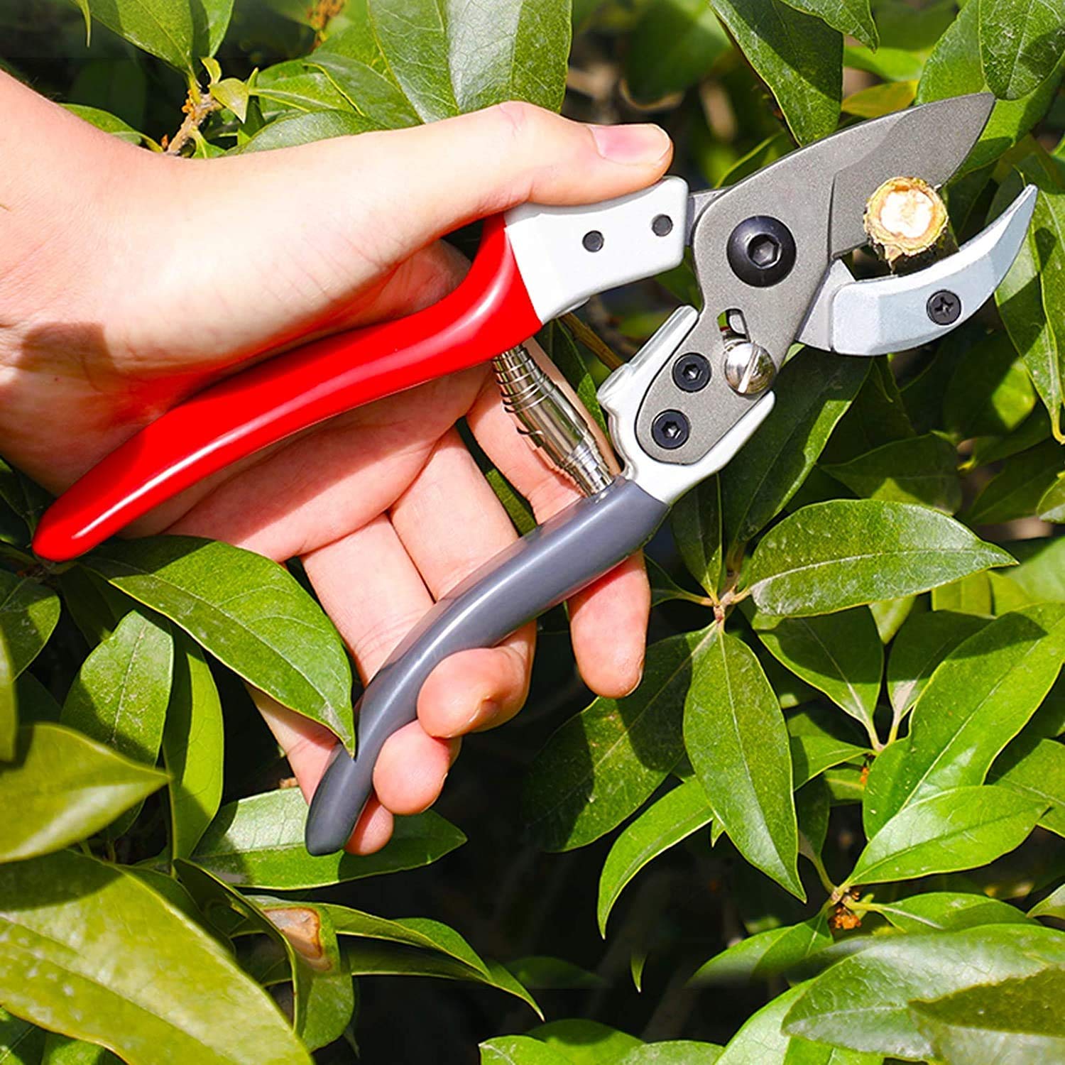 Professional Bypass Pruning Shears - Stainless Steel Rust-Proof Garden Shears for Trees, Shrubs & Plants | Ergonomic Hand Pruners for Precise Trimming | Perfect for Gardening, Landscaping & Outdoor Use