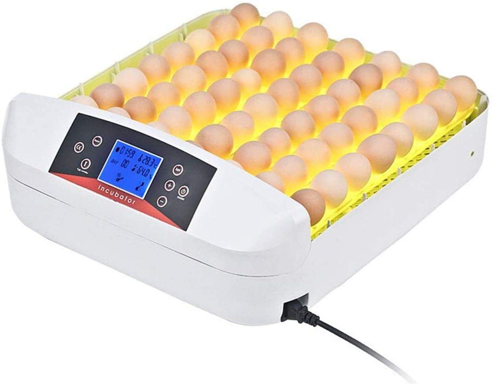 FOTLL Digital Egg Incubator with Automatic Turner & LED Light - 56 Egg Capacity for Chicken, Poultry, Duck & Bird Eggs (US Plug) | Perfect for Home Hatchery, Farm Use & Classroom Science Projects