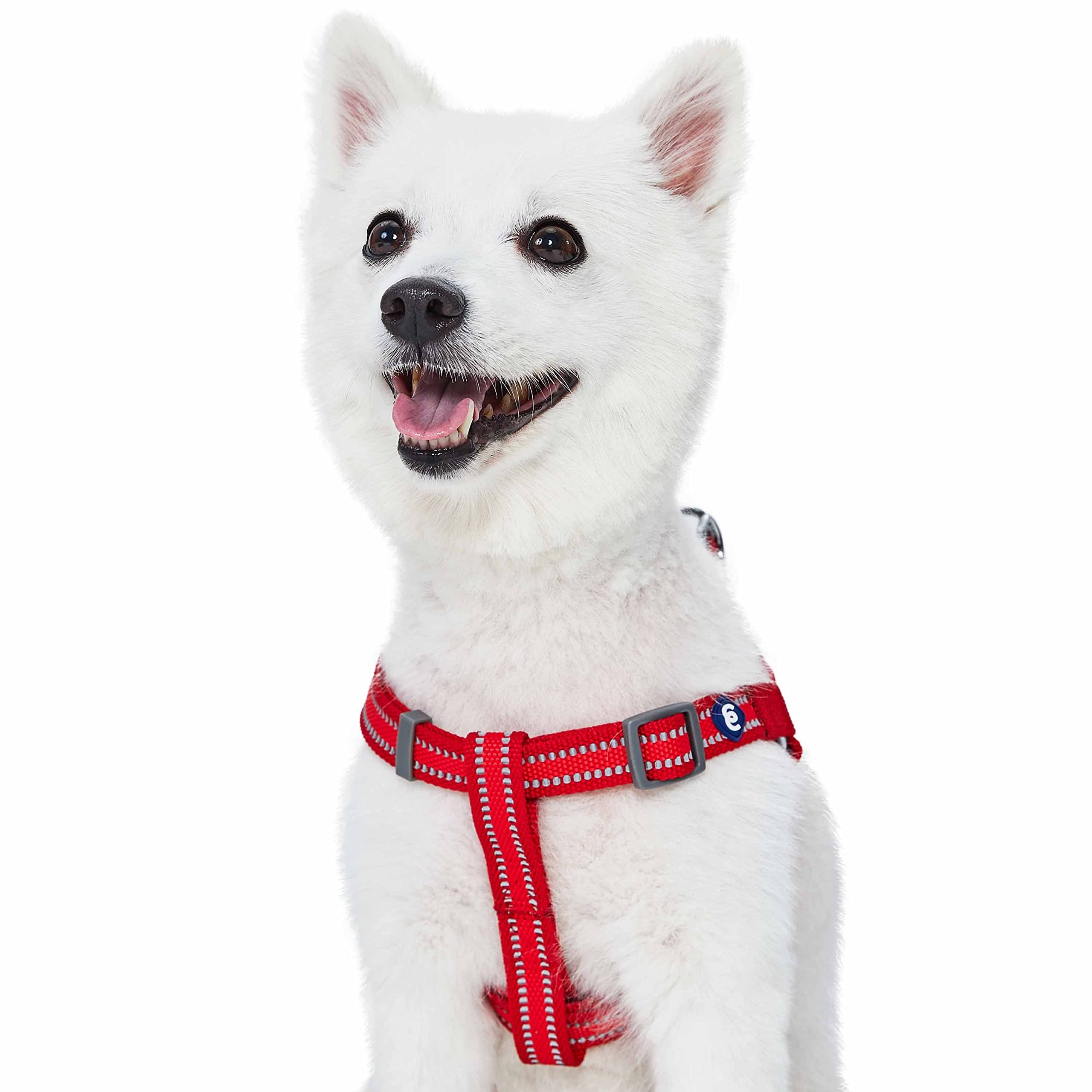 Blueberry Pet Essentials Step-in Reflective Dog Harness - Adjustable Medium (20