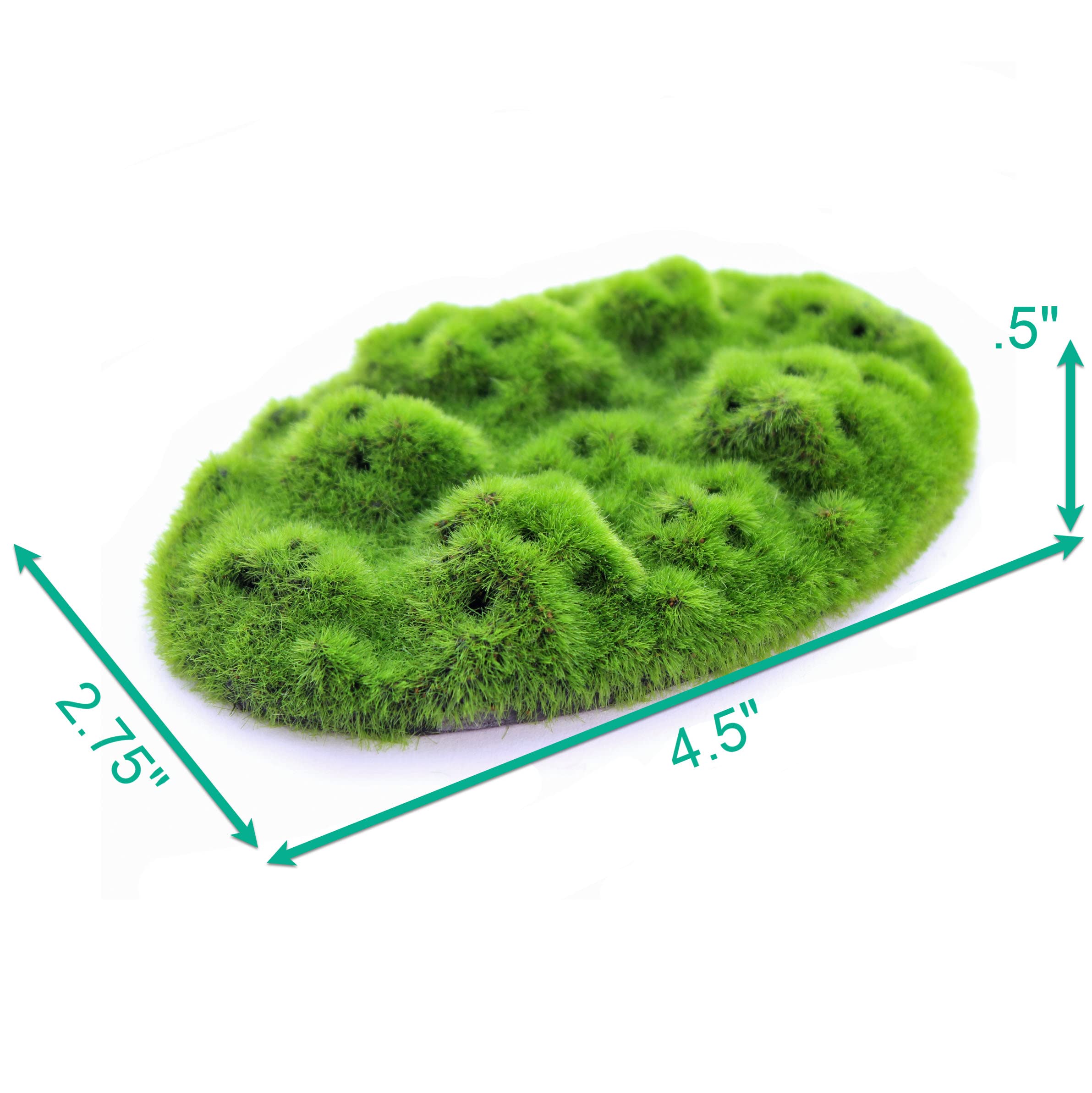 Penn-Plax Aqua-Flora Aquarium Decor with Glosso Plant Seeds - Natural Moss Patch for Freshwater Fish Tanks - Safe & Healthy Habitat for Betta, Guppies & Tropical Fish - Perfect for Planted Aquariums & Aquatic Environments