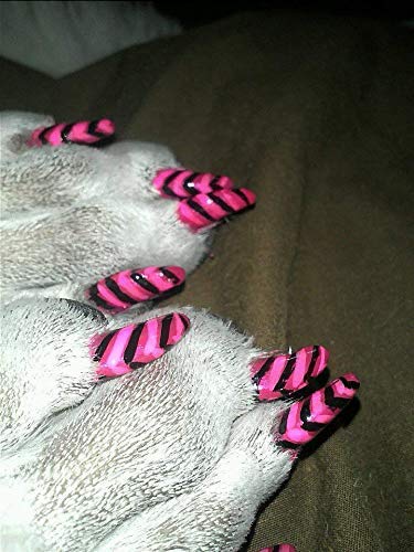 Warren London Pawdicure Dog Nail Polish Pens - Quick Drying, Non-Toxic & Low Odor Pet Nail Polish - Made in USA - 13 Vibrant Colors Including Neon Pink, Purple & Green - Perfect for Dog Birthday Parties, Costume Events & Grooming Sessions