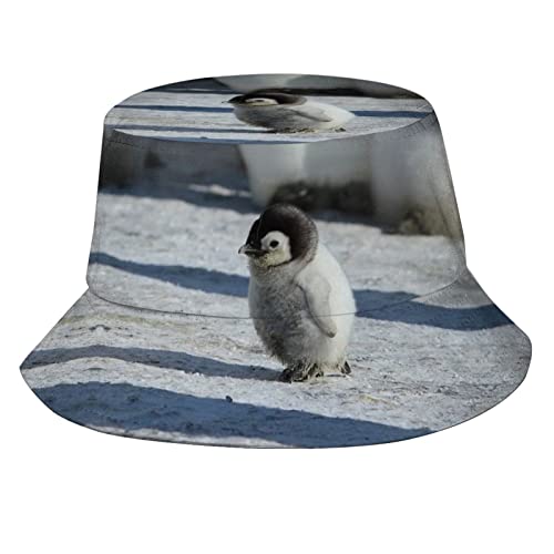 Penguin 01