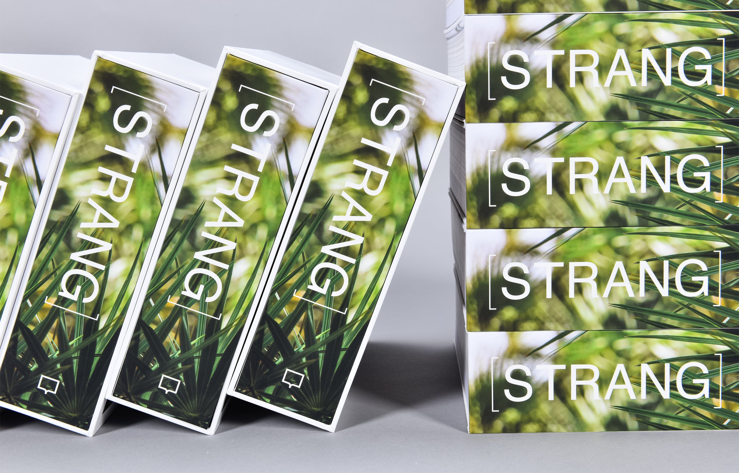 Environmental Modernism: The Architecture of STRANG - Sustainable Design for Eco-Friendly Homes & Offices