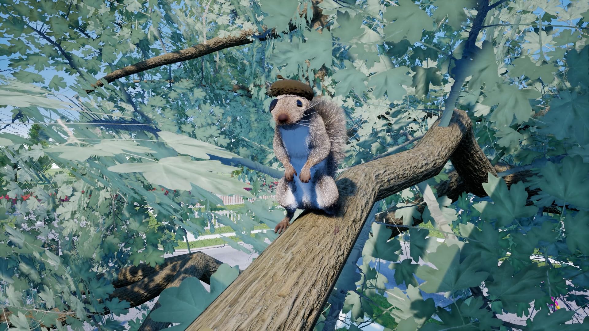 Squirrel with a Gun PS5 Game - Action Adventure Shooter for PlayStation 5 - Perfect for Casual Gaming and Animal-Themed Entertainment