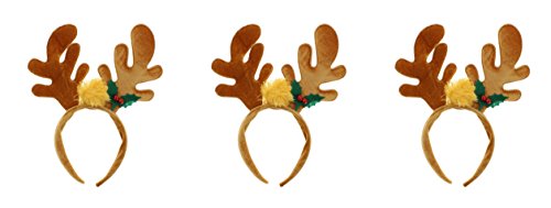 Reindeer Antlers