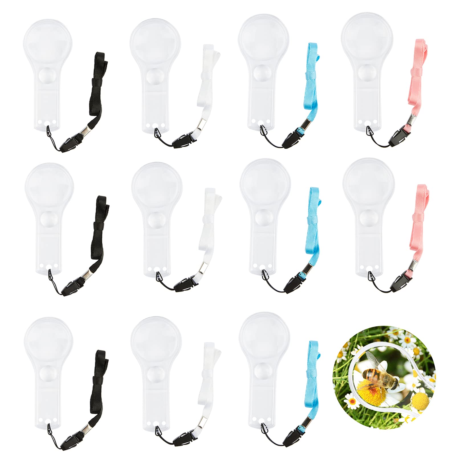 Kids Magnifying Glass 24-Pack - 5X & 15X Plastic Hand Lens for Science, Reading & Outdoor Exploration