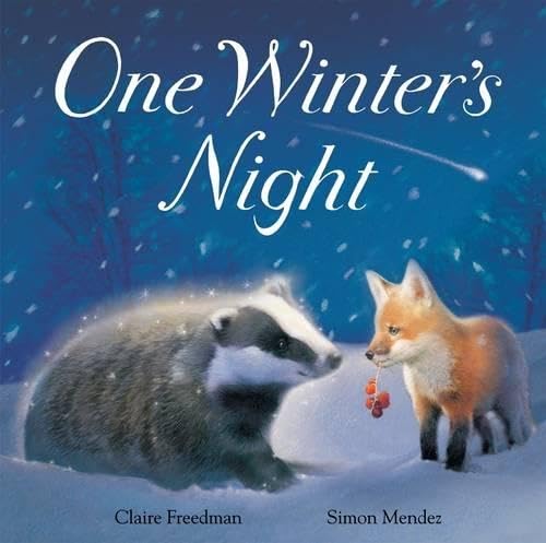 One Winter's Night - Cozy Winter Novel for Adults | Perfect for Holiday Reading by the Fireplace
