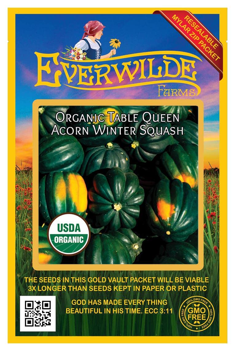 Organic Table Queen Acorn Winter Squash Seeds - 20 Count Gold Vault Packet by Everwilde Farms - Perfect for Home Gardening, Fall Harvest & Healthy Cooking