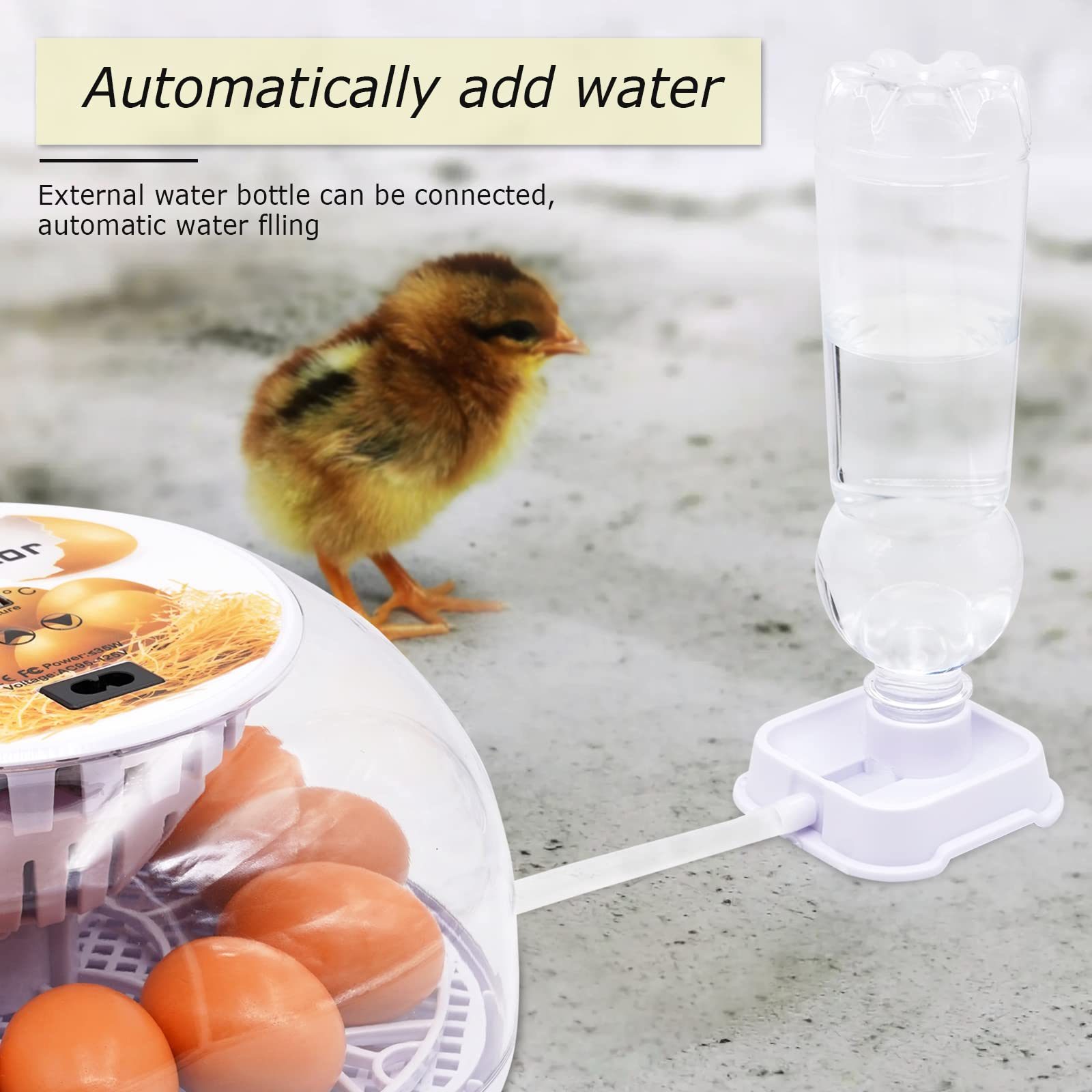12 Egg Incubator Automatic Poultry Hatcher with Temperature Control & Auto Egg Turning - 360° View Transparent Lid for Chicken, Duck, Quail Eggs - Perfect for Home Farms, School Projects & Hobbyists