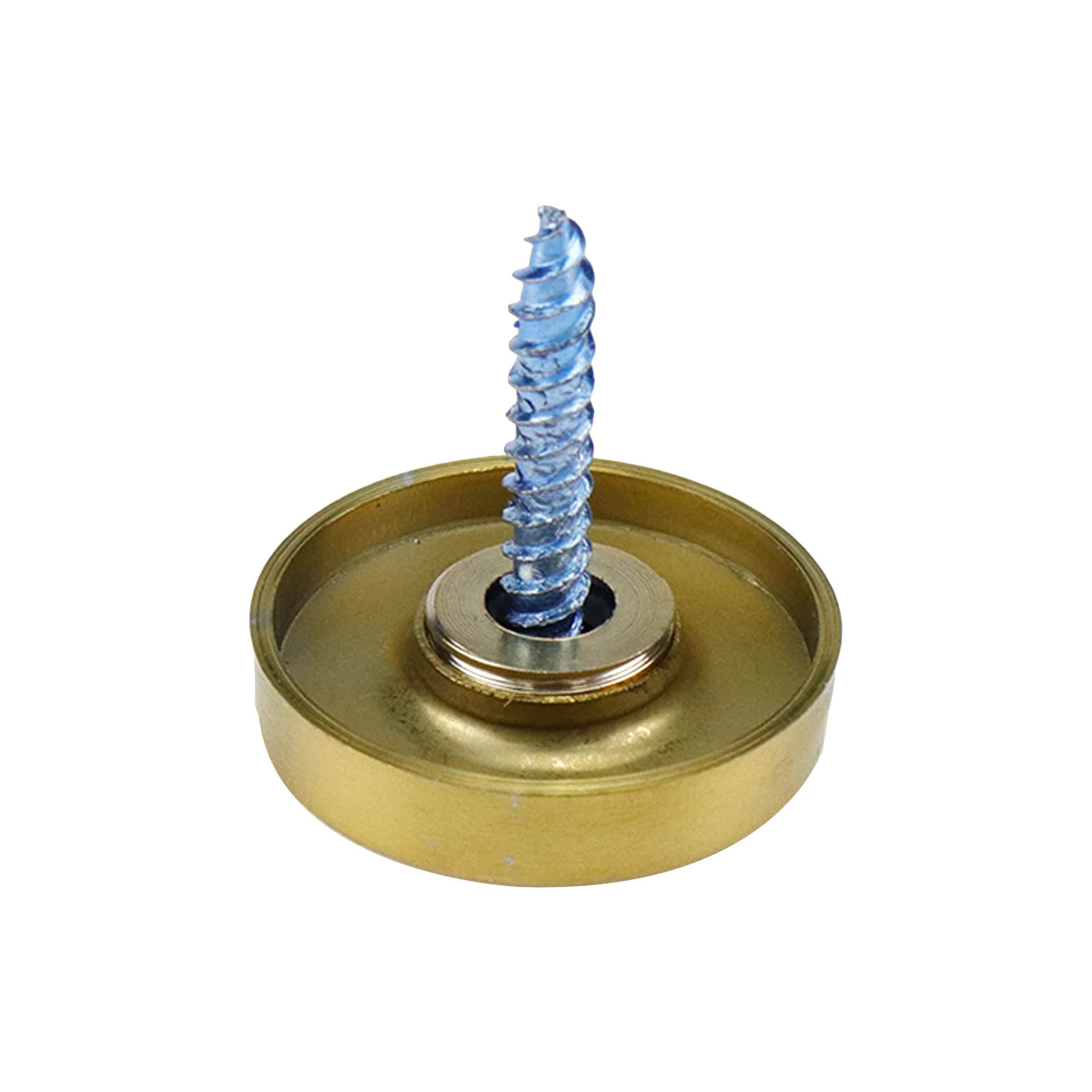 22mm Golden Stainless Steel Mirror Screw Caps - 8Pcs Decorative Nails for Mirrors, Furniture & Wall Decor | Rustproof Hardware for Home Improvement & DIY Projects