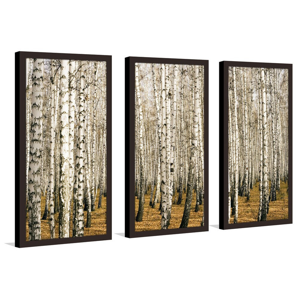 Birch Trees Wall Art Set of 3 - Modern Framed Plexiglass Prints for Living Room, Bedroom & Office Decor | Nature-Inspired Home Decorations