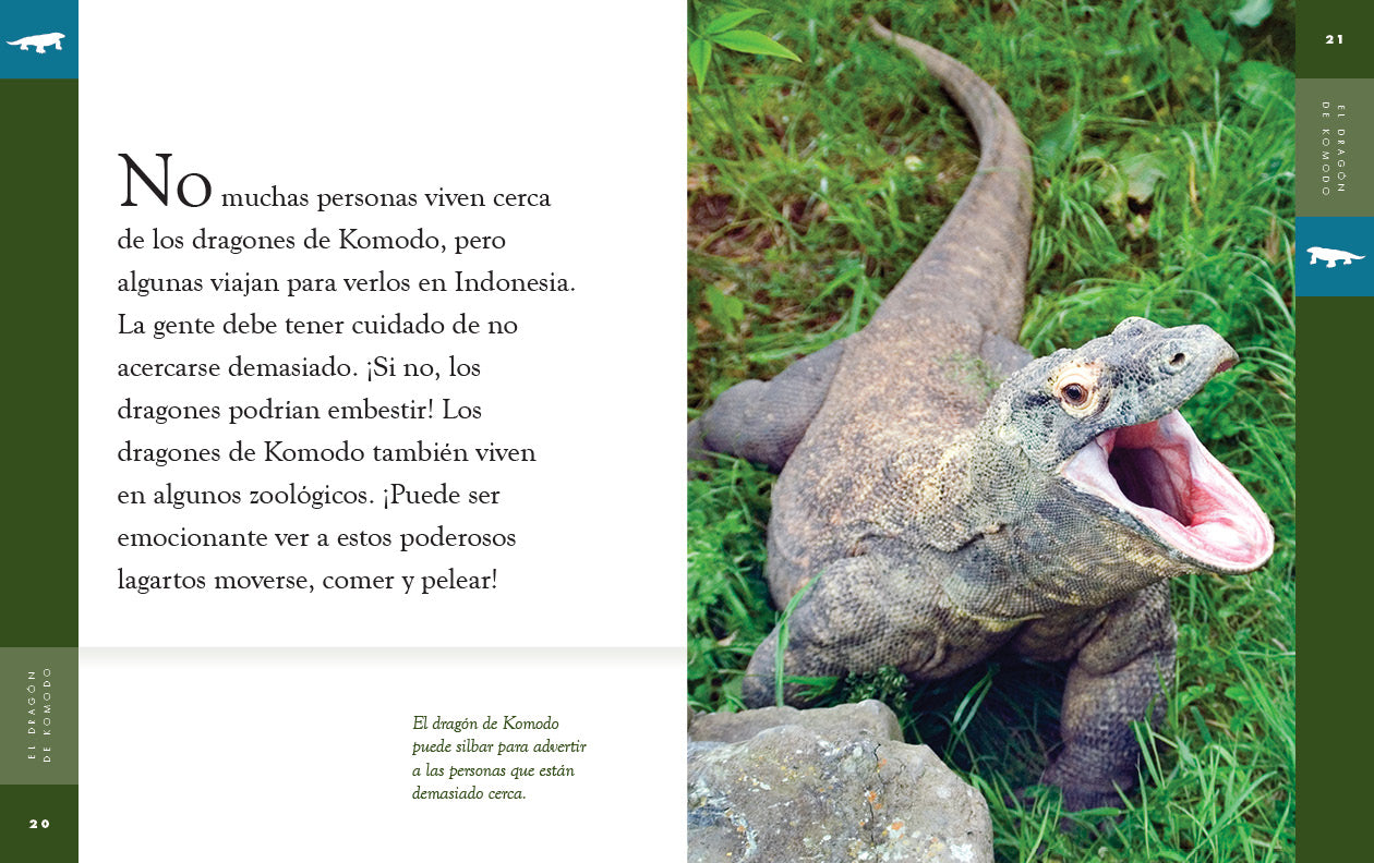 Komodo Dragon Toy - Realistic Komodo Dragon Figure for Kids & Collectors - Perfect for Educational Play, Dinosaur Enthusiasts & Home Decor