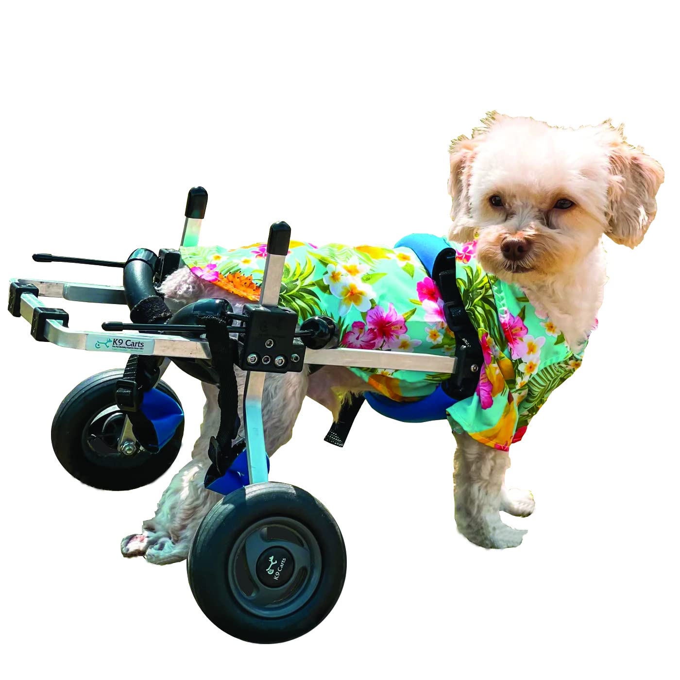 The Original Dog Wheelchair - Custom Built in USA | Veterinarian-Approved Small Dog Wheelchair for Disabled Pets | Lightweight Aircraft Grade Aluminum Frame | Perfect for Mobility Support & Rehabilitation