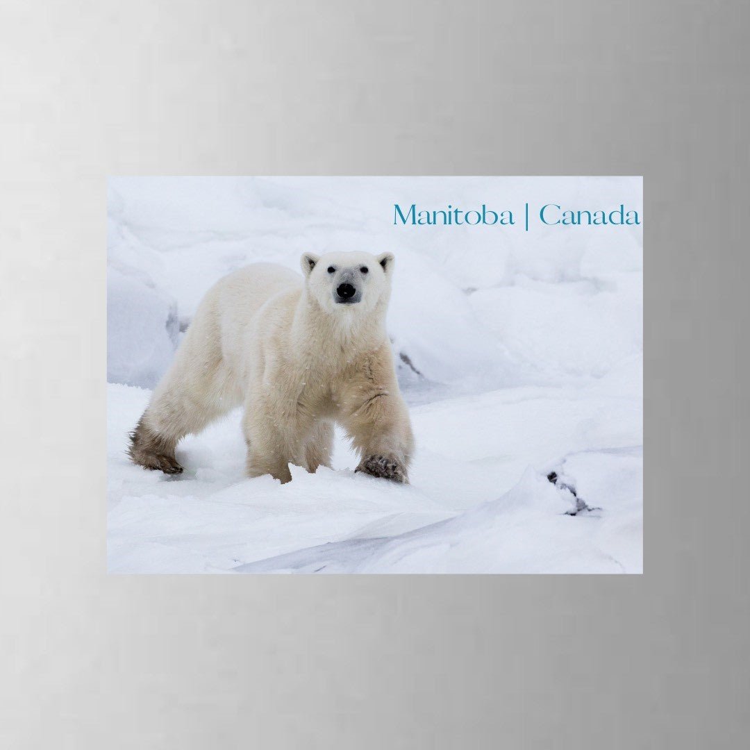 From My Angle Photography Magnets - Premium Photo Fridge Magnets for Memories, Home Decor & Gifts | Perfect for Refrigerators, Lockers, and Office Spaces