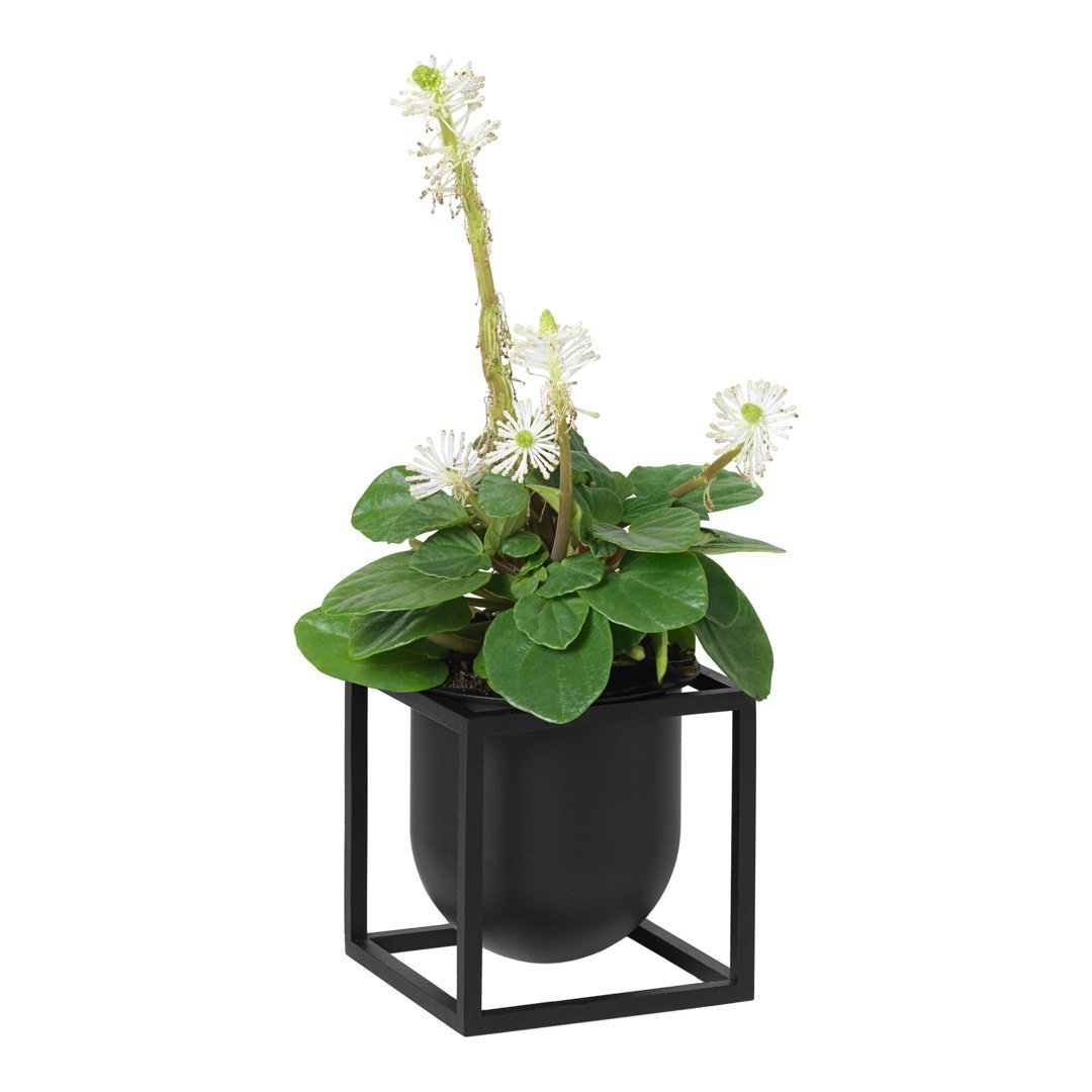 Soren Lassen Kubus Flower Pot - Modern Square Planter for Indoor & Outdoor Plants - Perfect for Home, Office, and Garden Decor
