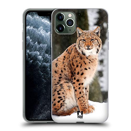 Wild Lynx In Winter