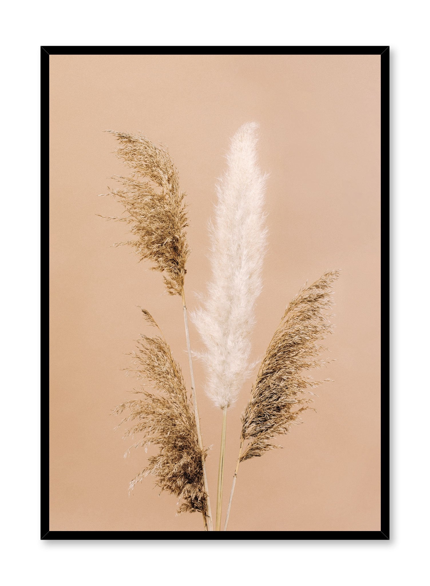 Gathering of Grasses Poster - Nature Inspired Wall Art Decor for Home, Office & Classroom - Perfect for Botanical Lovers & Interior Design
