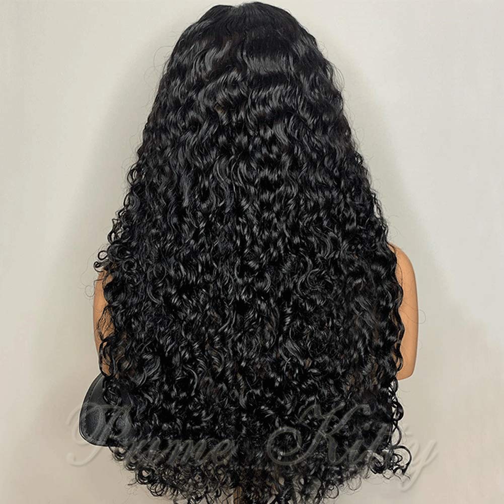 360 Lace Frontal Wig - Pre Plucked Brazilian Virgin Human Hair Wigs with Baby Hair | 16