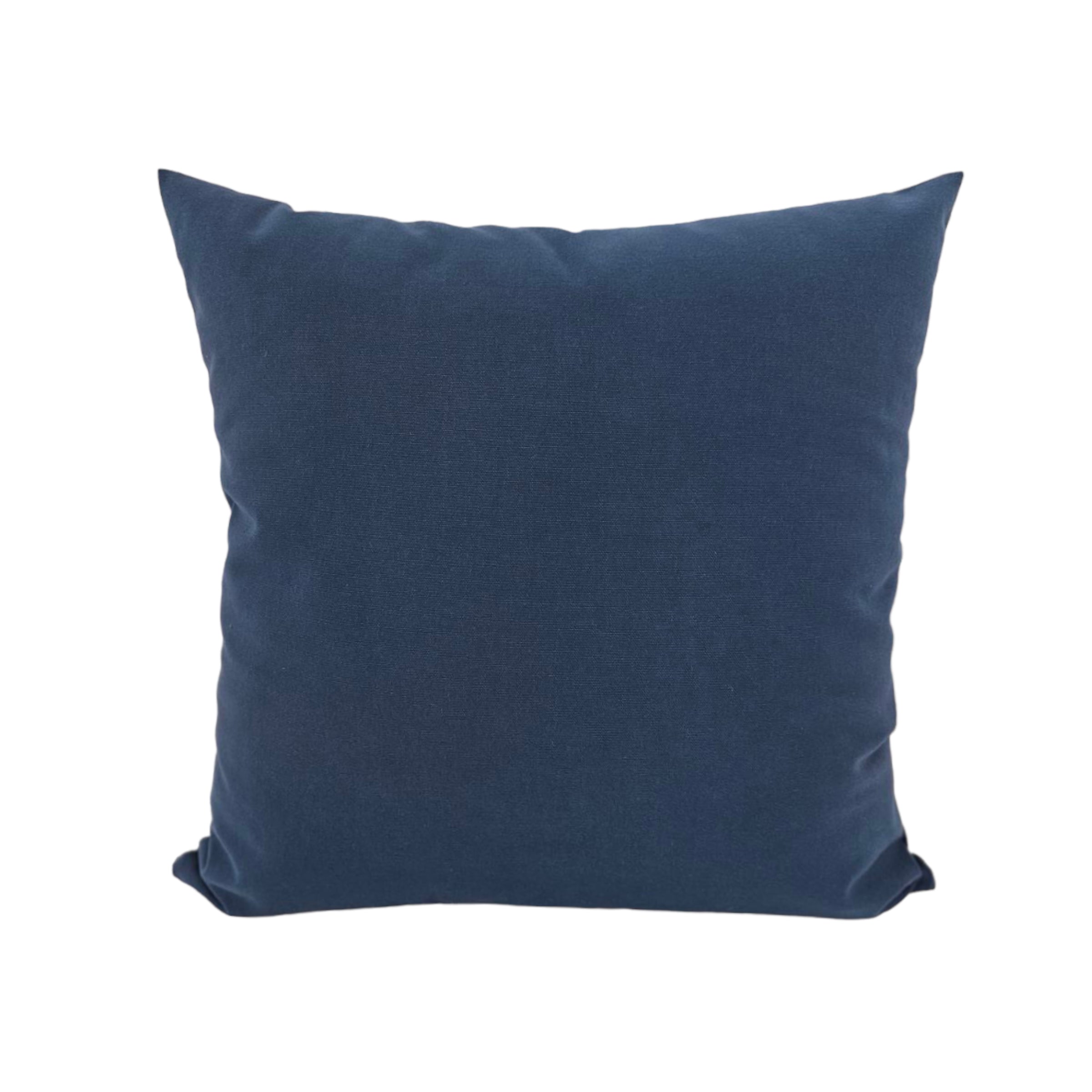 Princeton Azul Throw Pillow 20x20 - Soft Decorative Square Cushion for Sofa, Bed & Home Decor - Perfect for Living Room, Bedroom & Dorm