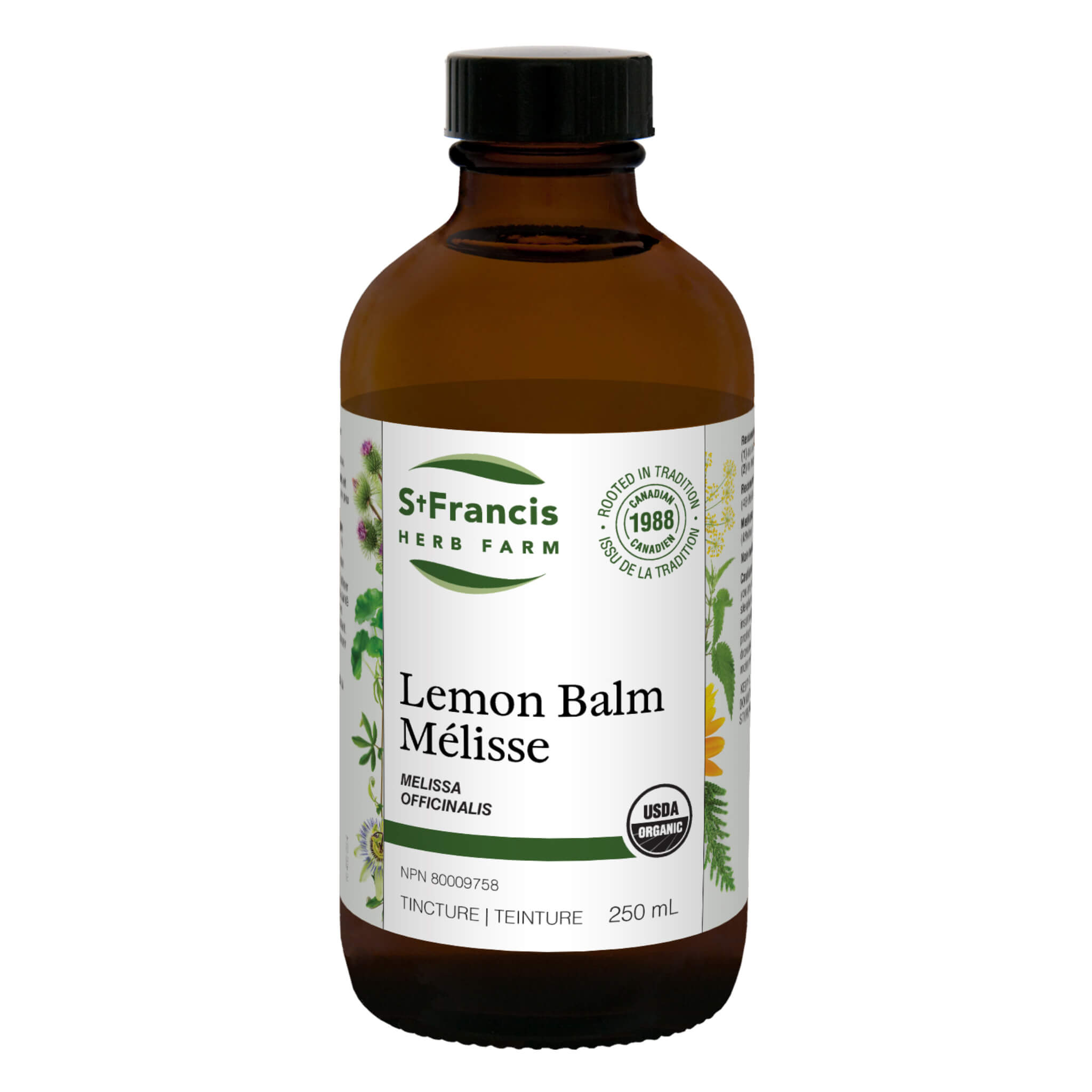 Organic Lemon Balm (Melissa officinalis) - Herbal Tea, Stress Relief & Sleep Aid - Perfect for Relaxation, Aromatherapy & Natural Remedies