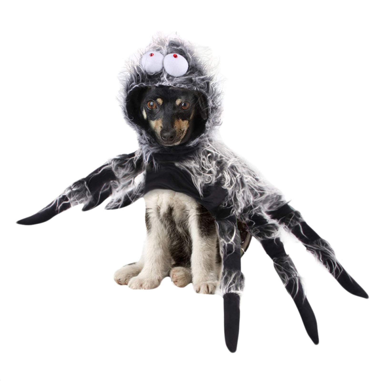 Spider Halloween Costume for Dogs & Cats - Black Pet Spider Dress Up Outfit for Halloween Party & Festival Decorations | Perfect for Pet Costume Contests & Spooky Photo Shoots