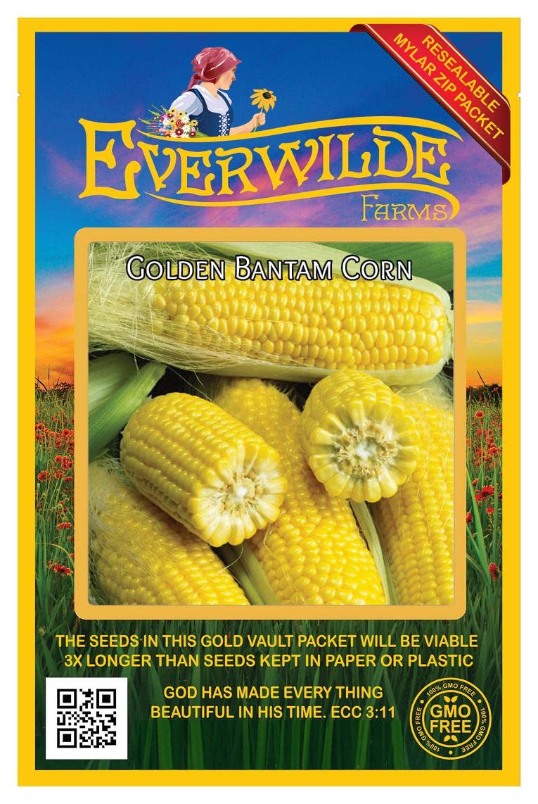 Everwilde Farms - 100 Golden Bantam Open Pollinated Corn Seeds - Non-GMO Heirloom Variety - Gold Vault Jumbo Seed Packet for Home Gardening & Sustainable Farming