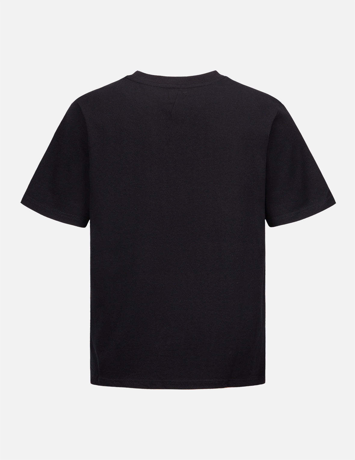 Stylish Seagull Print T-Shirt for Men & Women - Comfortable Cotton Graphic Tee - Perfect for Beach Outings, Summer Vacations, and Casual Wear