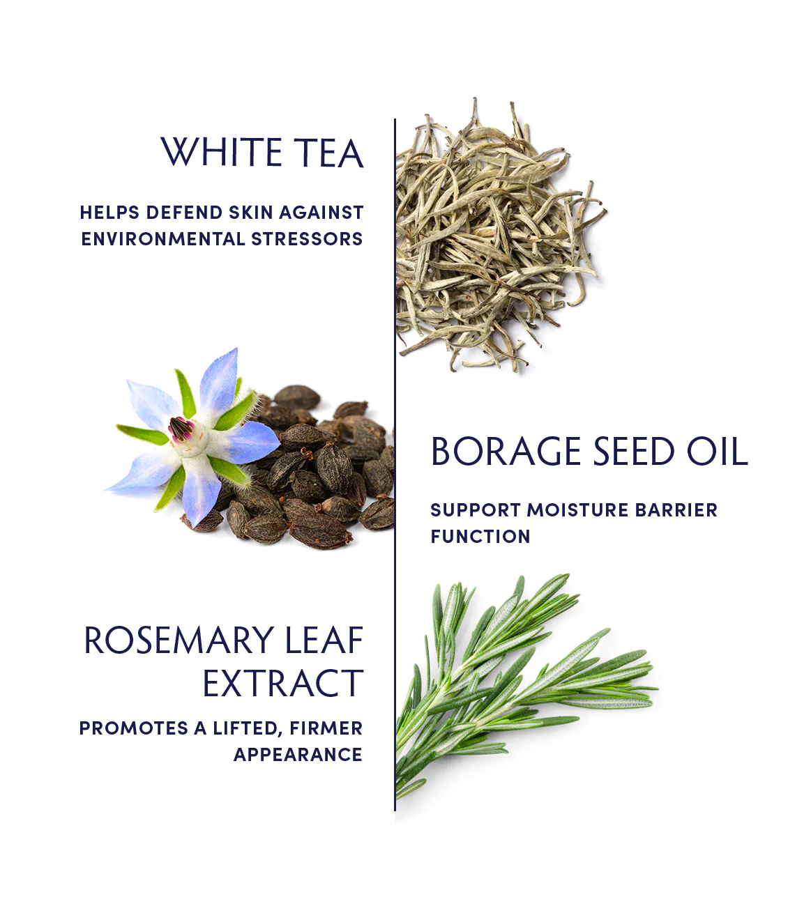 Naturopathica White Tea Antioxidant Face Mask - Hydrating & Anti-Aging for Glowing Skin - Perfect for Spa Night & Self-Care Routine