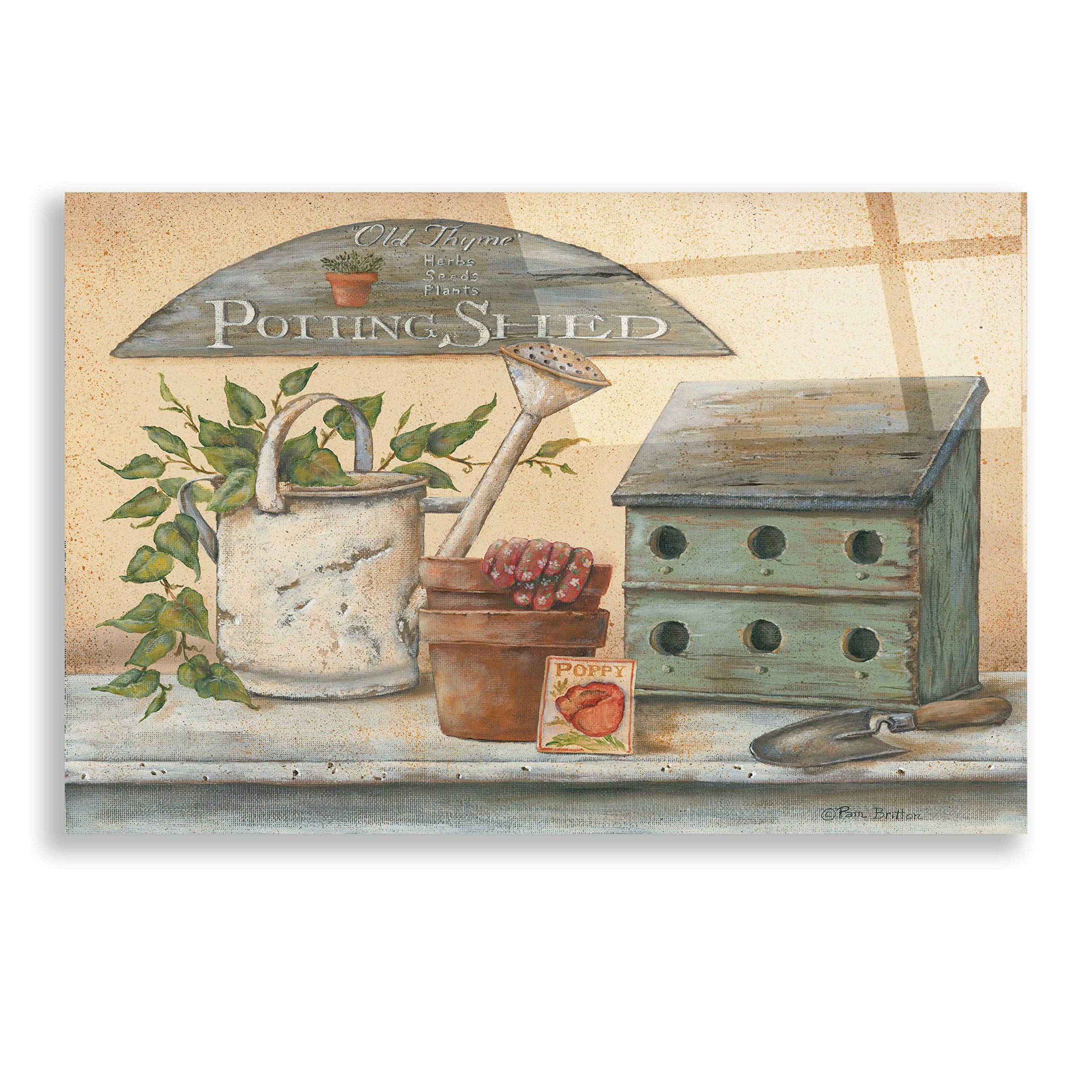Pam Britton 'Garden Shelf IV' Acrylic Glass Wall Art - 24x16 Inches Modern Home Decor for Living Room, Bedroom & Office