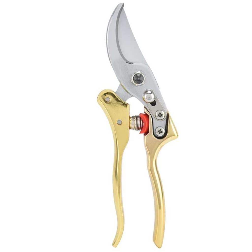 Premium Gardening Pruning Shears - Sharp Bypass Pruner for Branch Trimming, Home Garden, Floral Arrangement & Landscaping | Ergonomic Hand Tool for Easy Cutting & Pruning