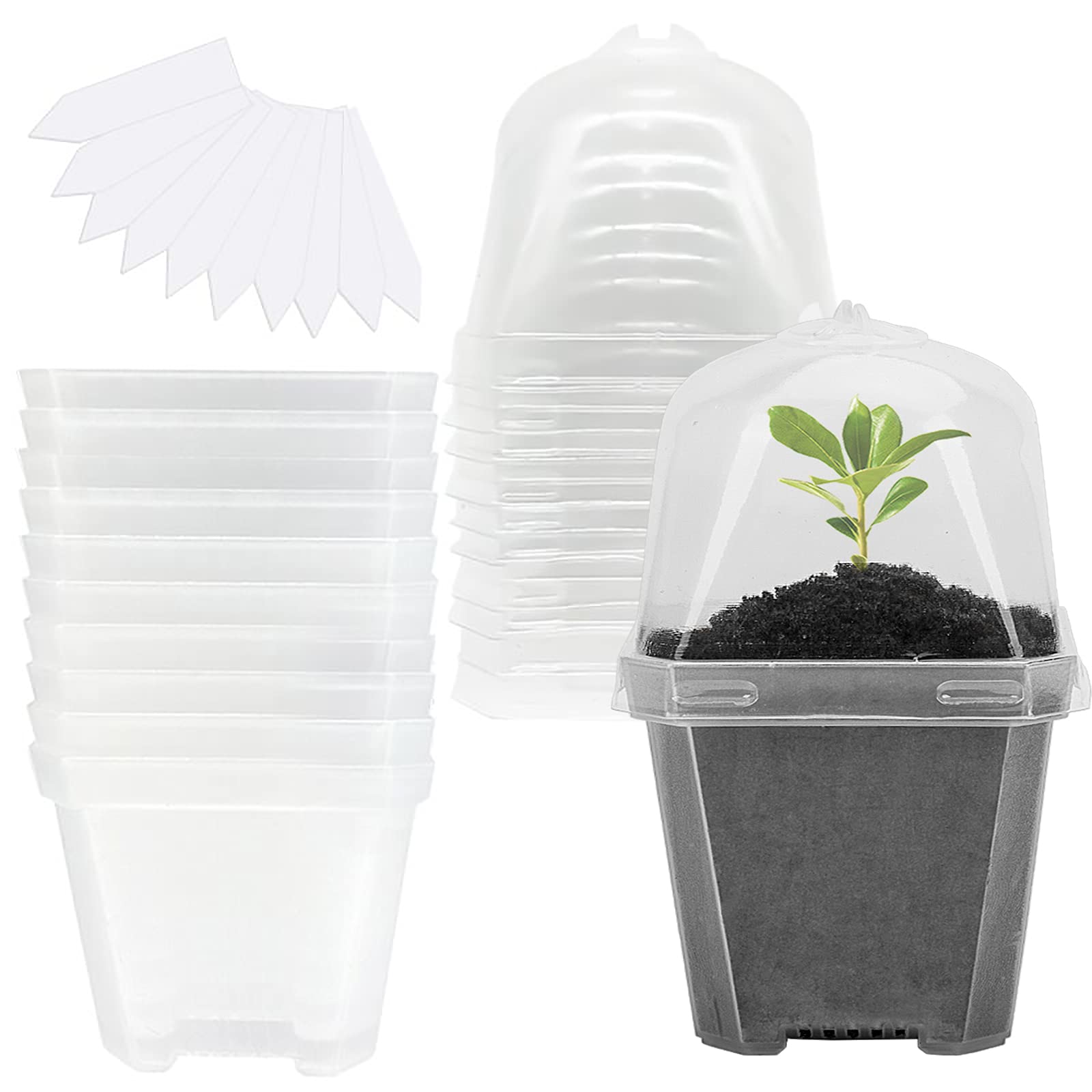 EBaokuup 4 Inch Clear Plastic Plant Nursery Pots with Humidity Dome - 10 Pack Gardening Containers with Drain Holes for Seedlings, Vegetables, Succulents & Cuttings - Ideal for Indoor Gardening, Greenhouse Planting & Home Garden Starters