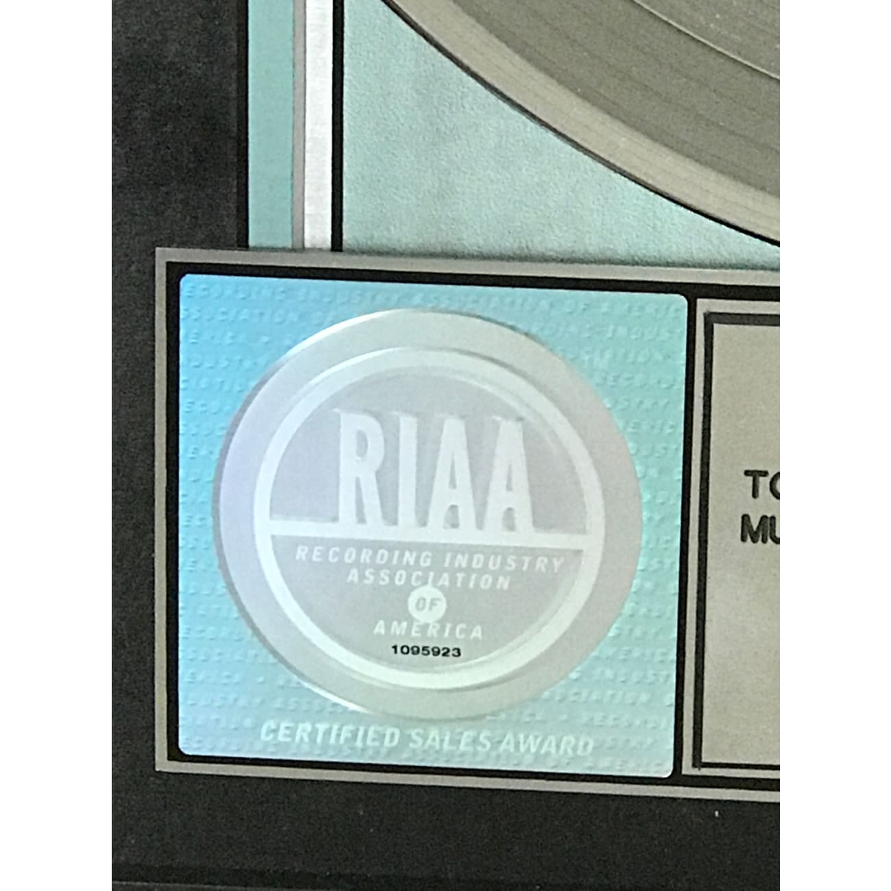 Cher Believe RIAA 3x Multi Platinum Album Award - Certified Music Collectible for Fans & Display (Perfect for Home Decor, Music Rooms & Collector Showcases)